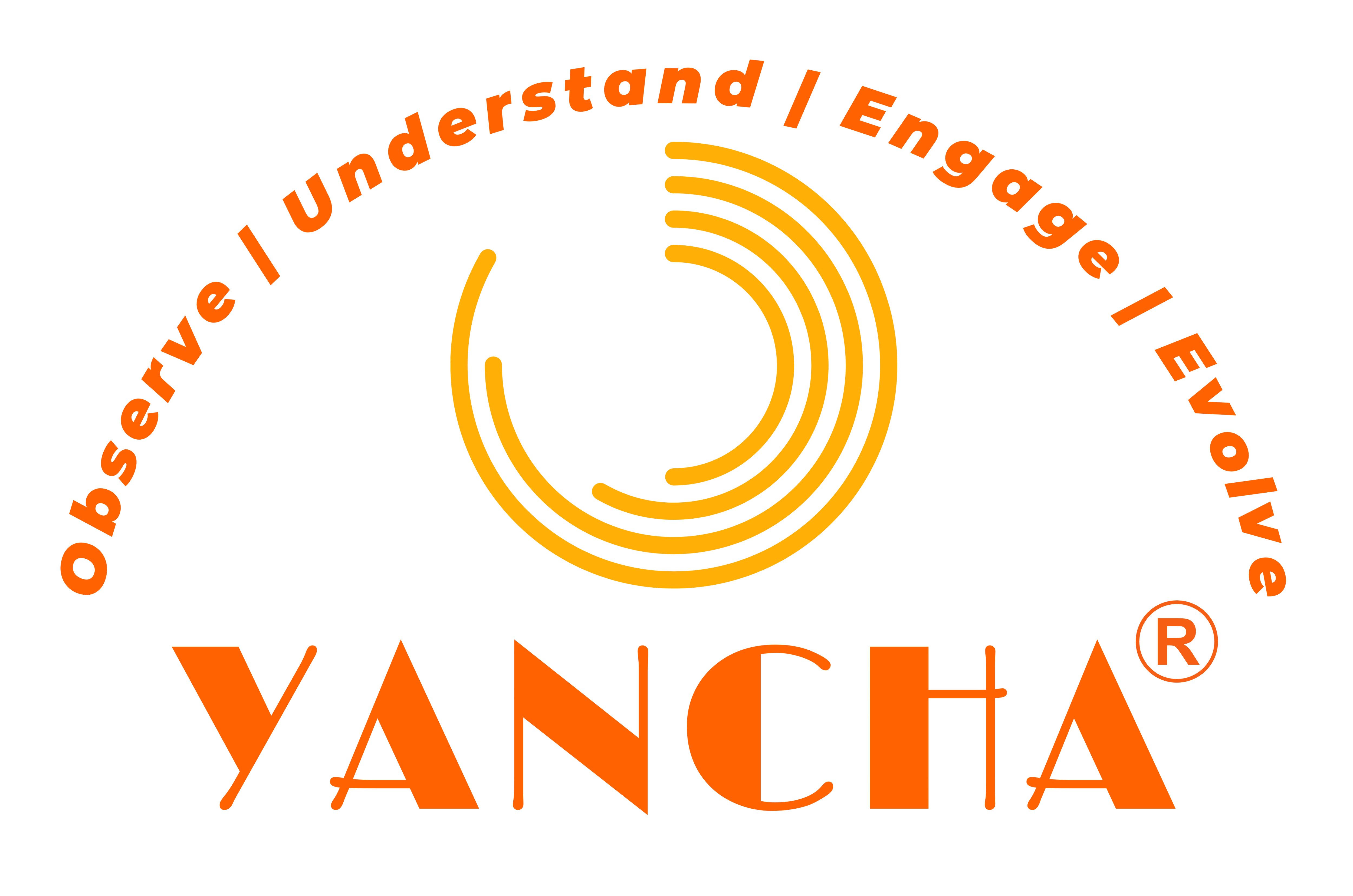 yancha